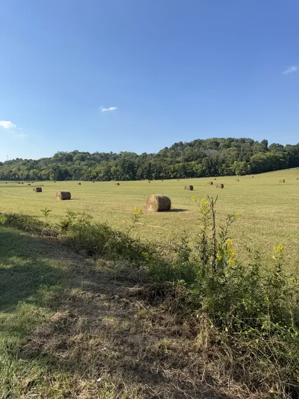 0 Cheatham Springs Road, Wartrace, TN 37183
