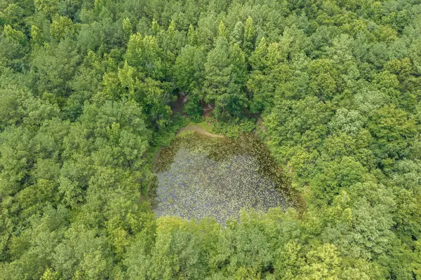 0 Highway 22a, Lexington, TN 38351