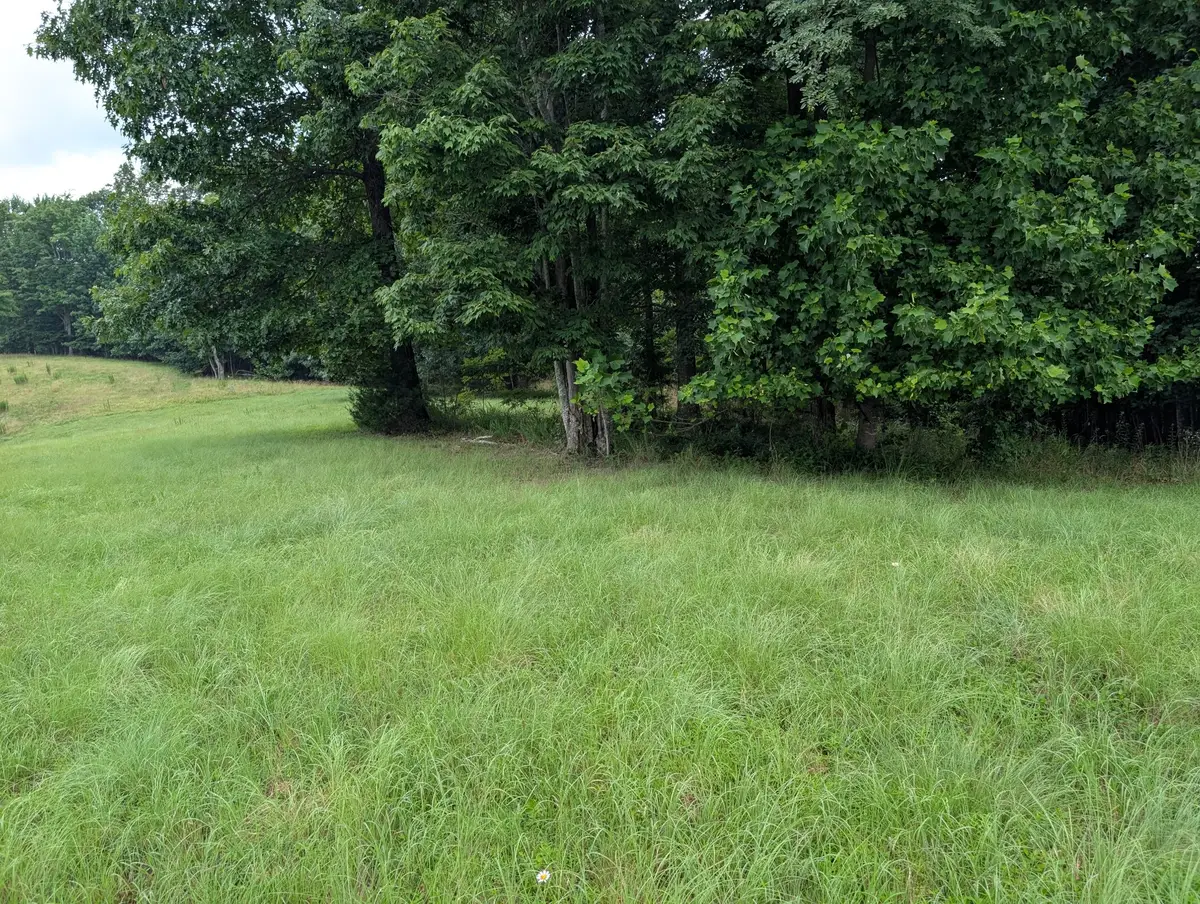 580 Preservation Dr, South Pittsburg, TN 37380 - #1
