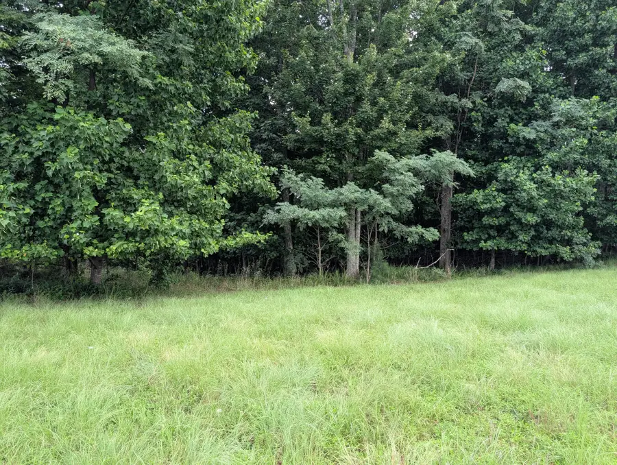 580 Preservation Dr, South Pittsburg, TN 37380 - #2