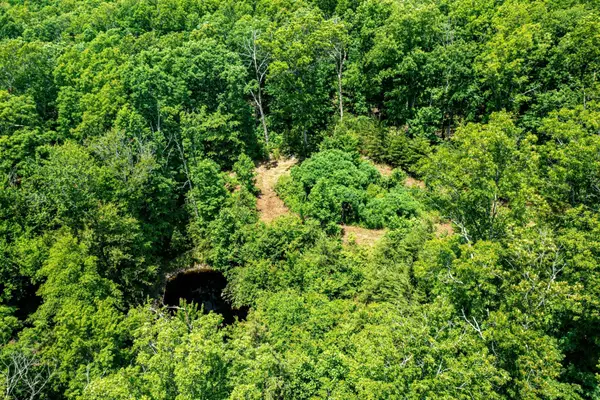 0 Beech Point Drive, Pikeville, TN 37367