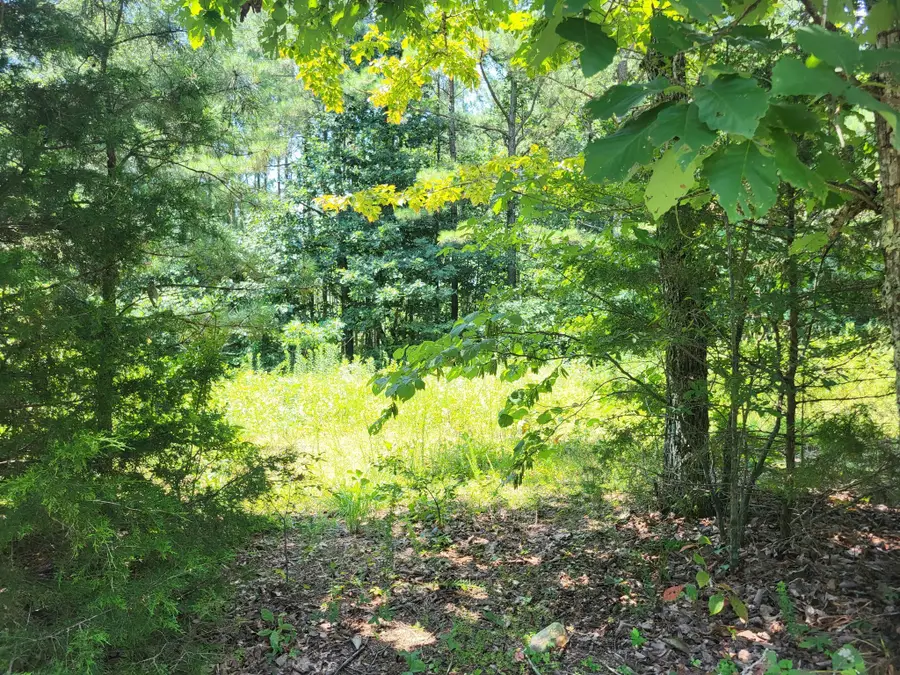 0 Beech Point Drive, Pikeville, TN 37367 - #3