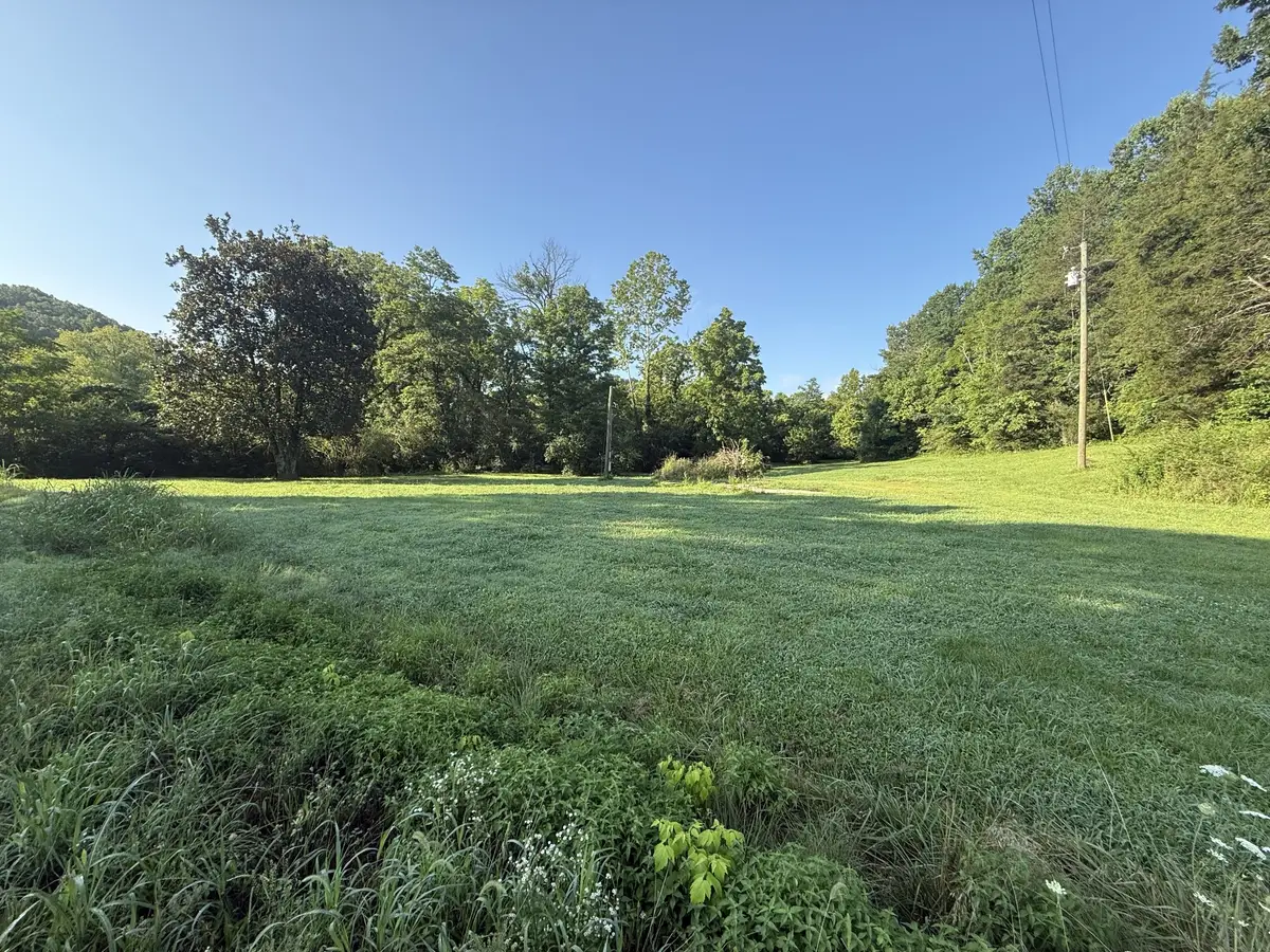 2407 Esque Sharp Rd, Mount Pleasant, TN 38474 - #1