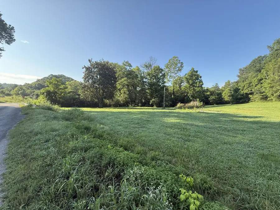 2407 Esque Sharp Rd, Mount Pleasant, TN 38474 - #2