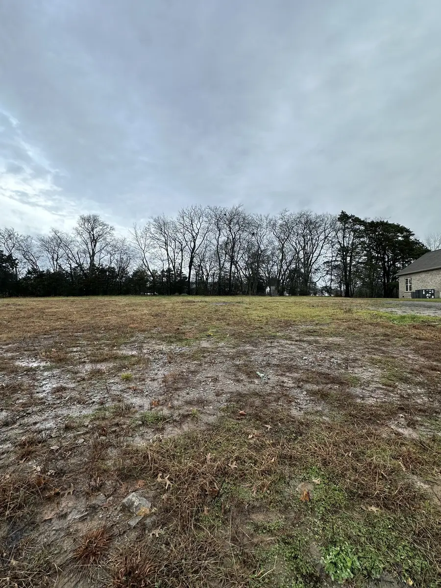 1505 Martha Washington Way, Murfreesboro, TN 37130 - #2