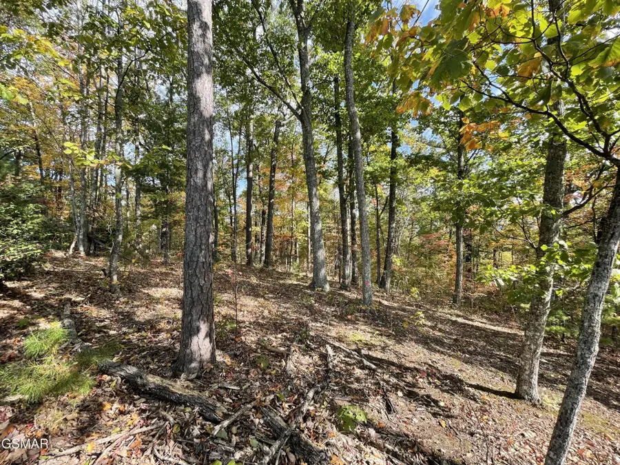 234 Sulpher Springs Way, Sevierville, TN 37862 - #2