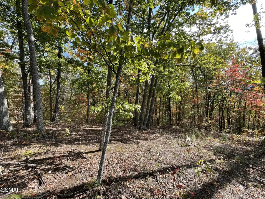 234 Sulpher Springs Way, Sevierville, TN 37862 - #3