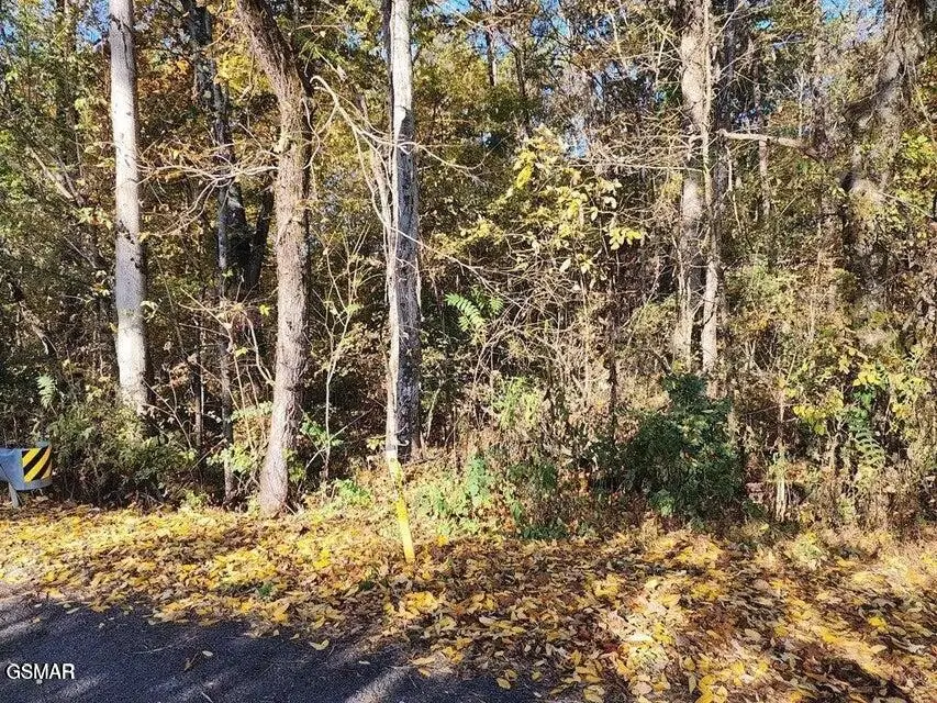 0 Briggs Road, Dandridge, TN 37725 - #1