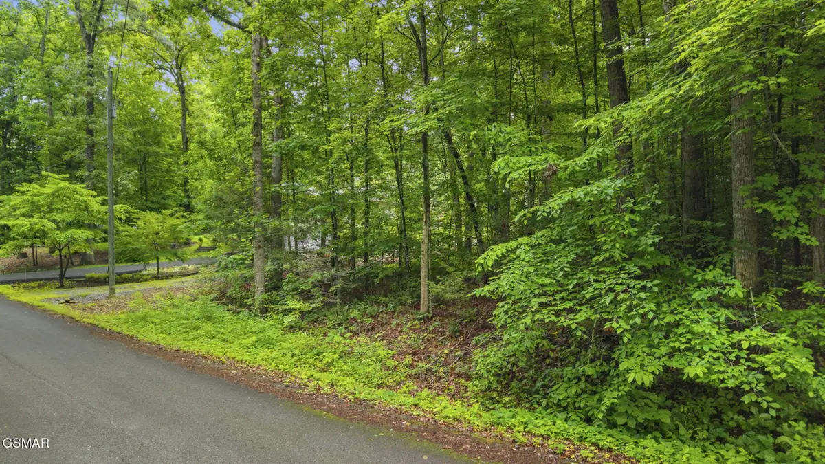 0 Peach Tree Street, Sevierville, TN 37862 - #1