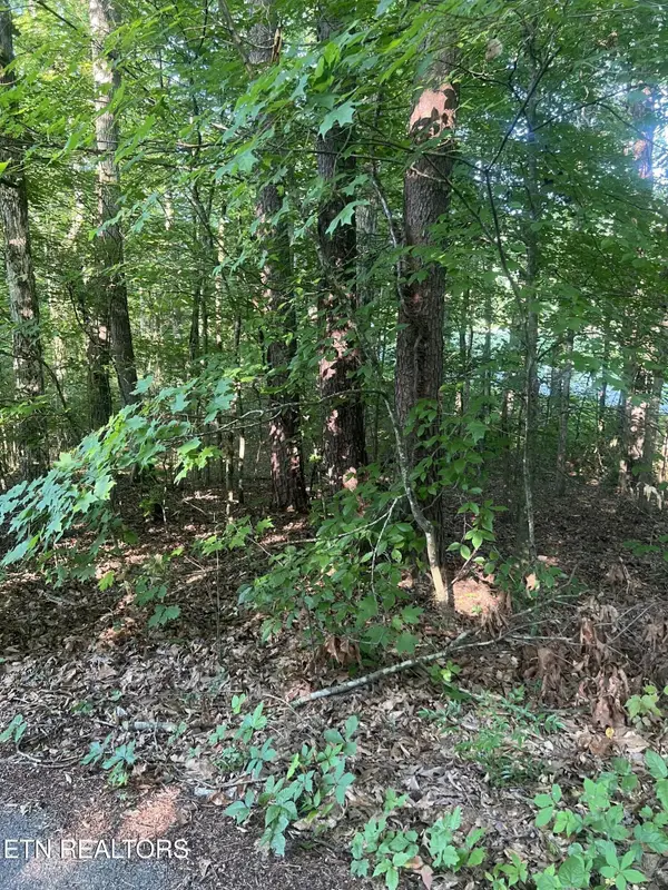 12308 Yarnell Rd, Knoxville, TN 37932