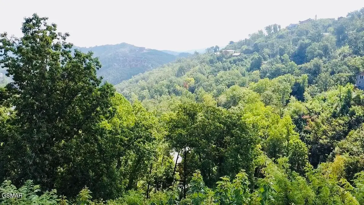 670 Pinecrest Drive, Gatlinburg, TN 37738 - #1