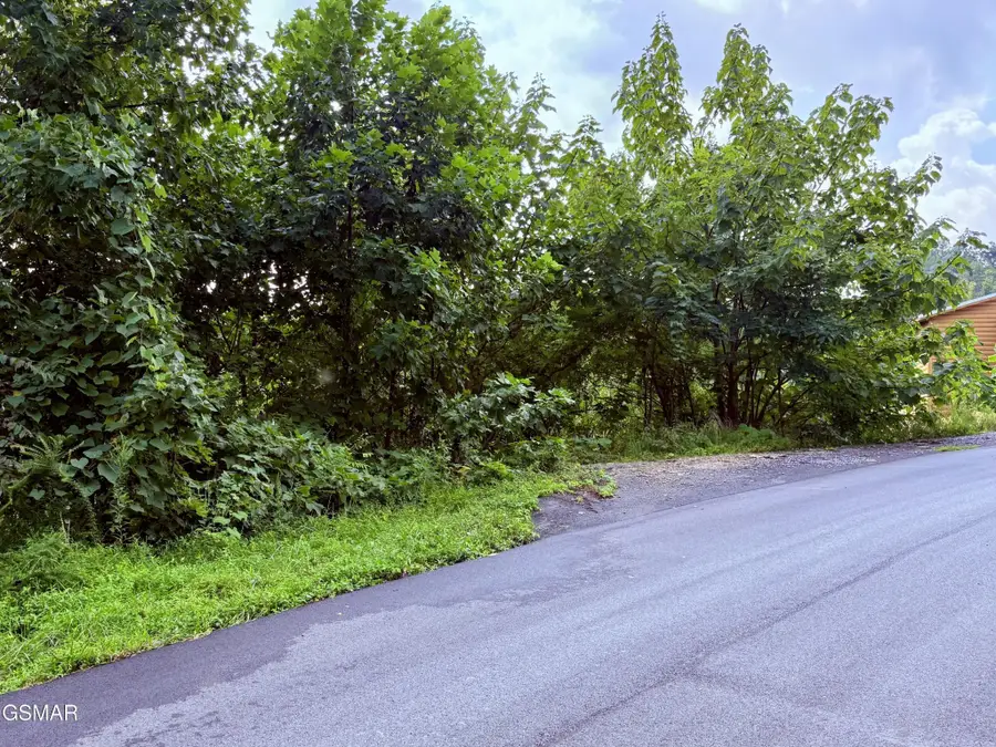 670 Pinecrest Drive, Gatlinburg, TN 37738 - #2