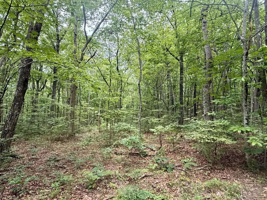 4104 Windridge Drive, Dunlap, TN 37327 - #3