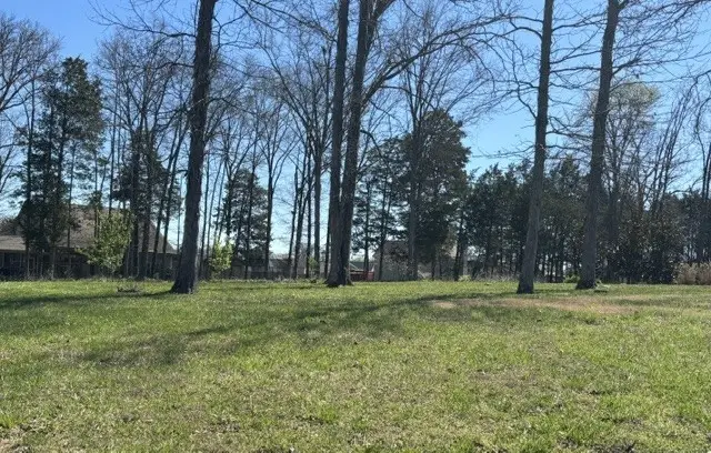 802 Silverhill Dr, Murfreesboro, TN 37129 - #2