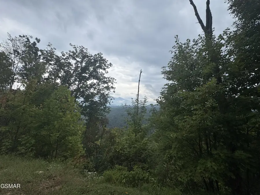 49 Enclave Park Way, Sevierville, TN 37862 - #3