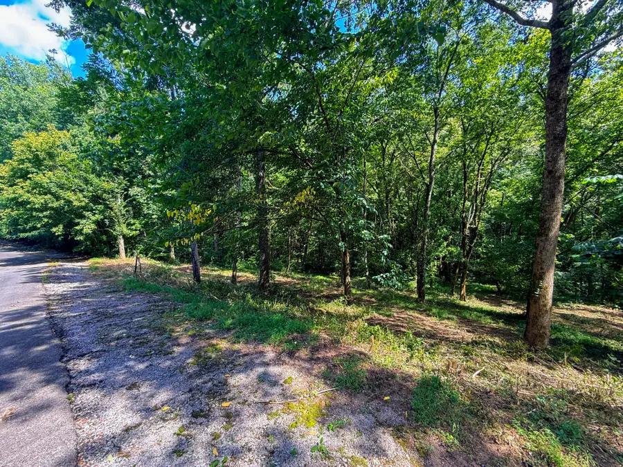 0 Savannah Dr, Smithville, TN 37166 - #2