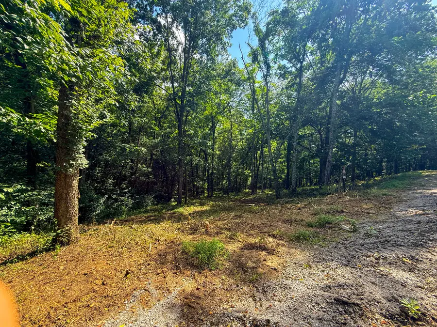 0 Savannah Dr, Smithville, TN 37166 - #3