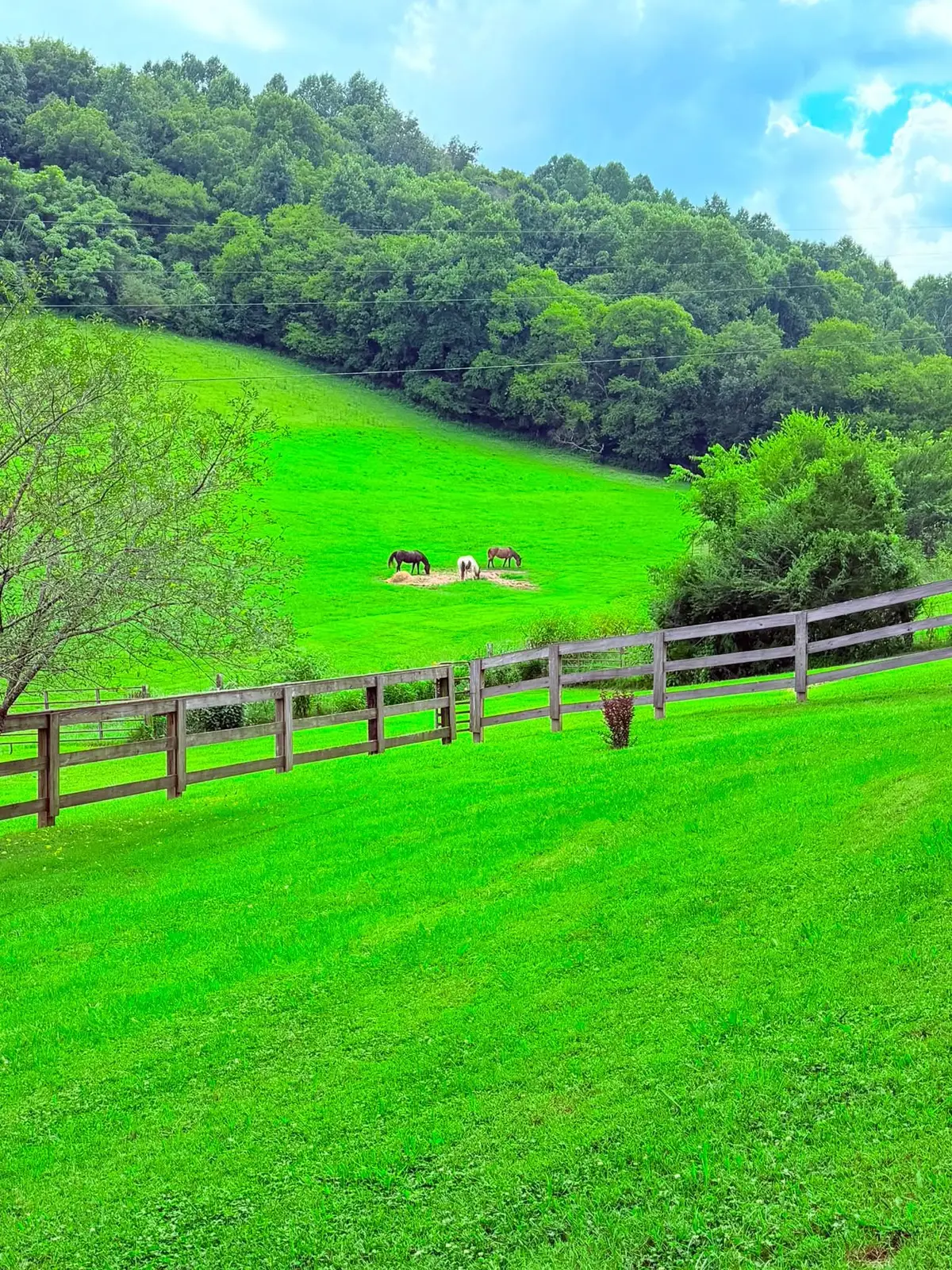 1220 Normandy Rd, Normandy, TN 37360 - #1