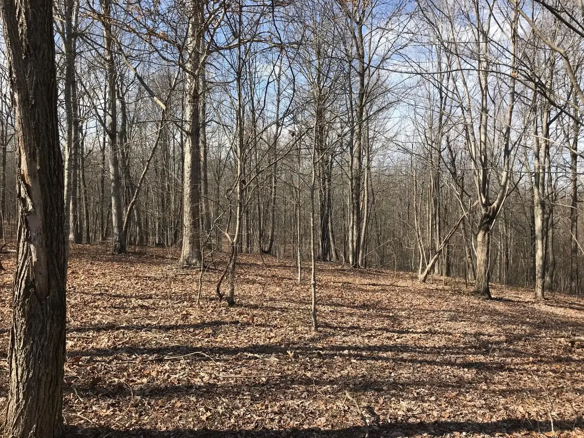 504 Wilderness Way, Dunlap, TN 37327 - #1