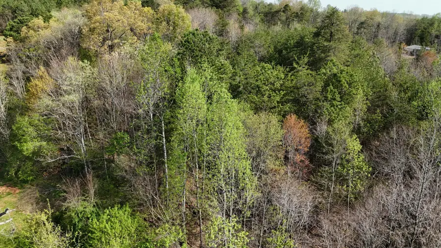 0 County Road 675, Athens, TN 37303 - #2