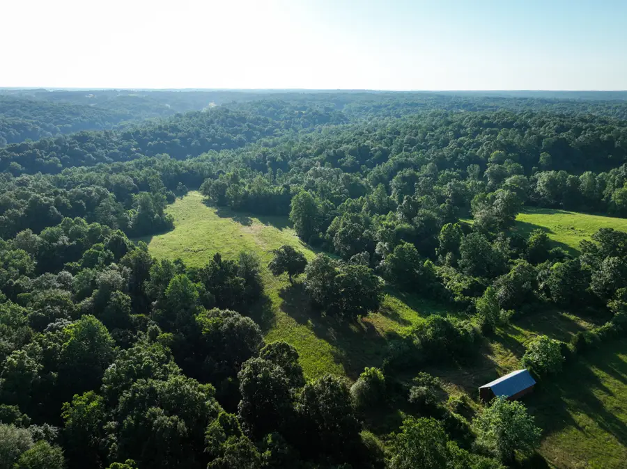 1 Shiloh Canaan Road, Palmyra, TN 37142 - #3