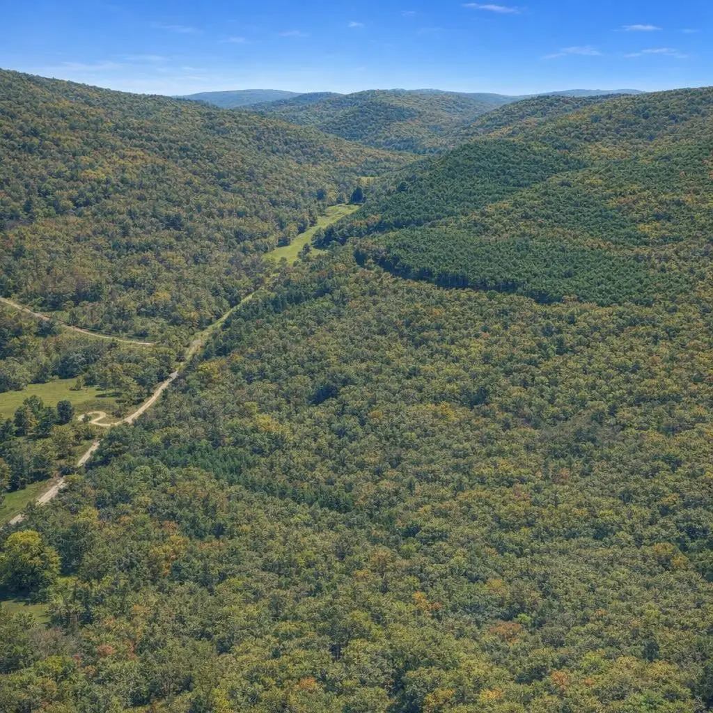 0 Brush Creek Rd, Lawrenceburg, TN 38464 - #1