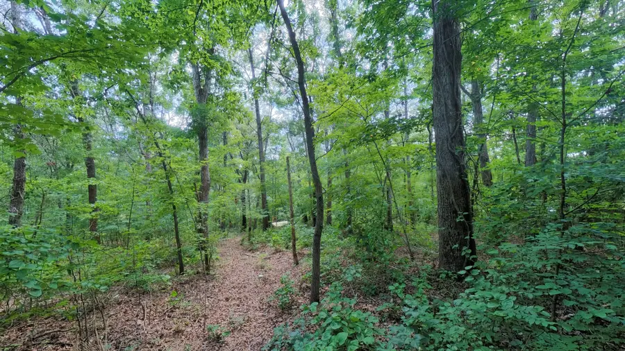 457 Pitcher Rd S, Morgantown, KY 42261 - #3