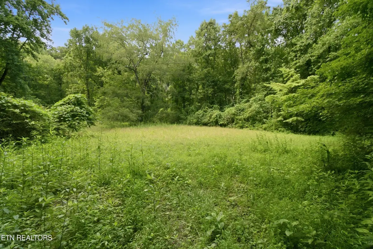 2777 Swanson Lane, Knoxville, TN 37932 - #1
