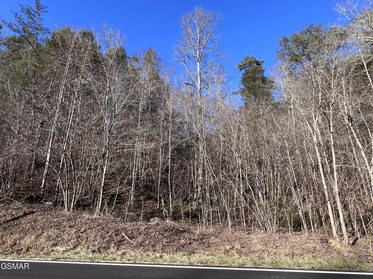 1718 Jones Cove Road, Sevierville, TN 37876 - #1