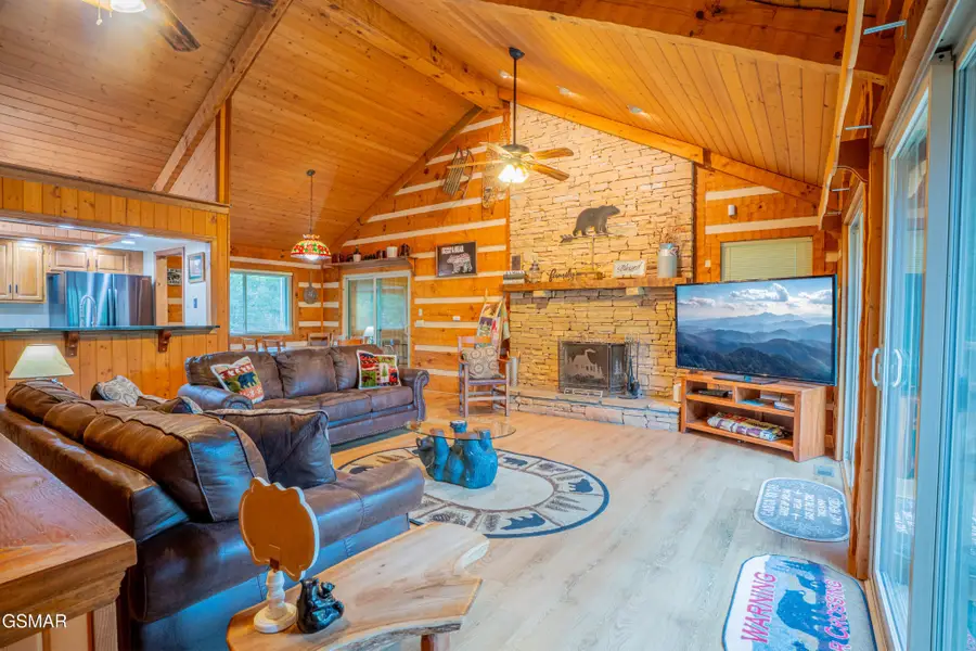 317 Matterhorn Drive, Gatlinburg, TN 37738 - #2