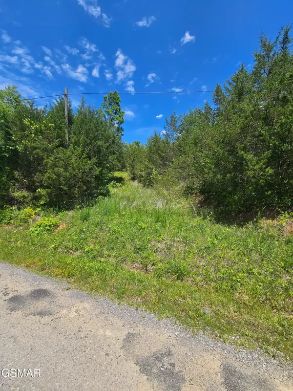 335 Oakwood Road, Midway, TN 37809