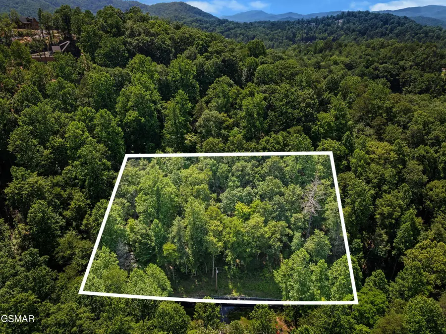 8 Emerald Springs Loop, Sevierville, TN 37862 - #3
