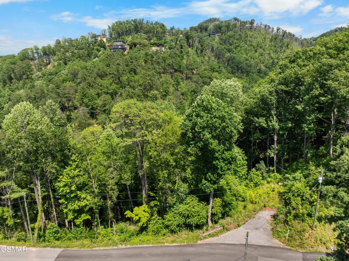 3278 Emerald Springs Loop, Sevierville, TN 37862 - #1
