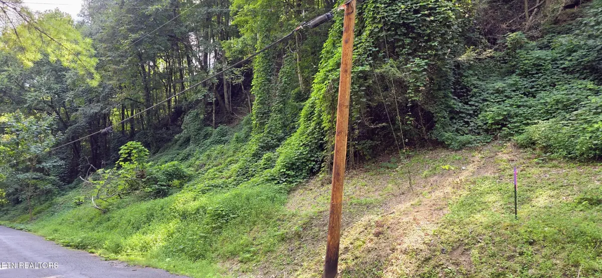 39 Black Walnut Flats Rd, Sevierville, TN 37862 - #1