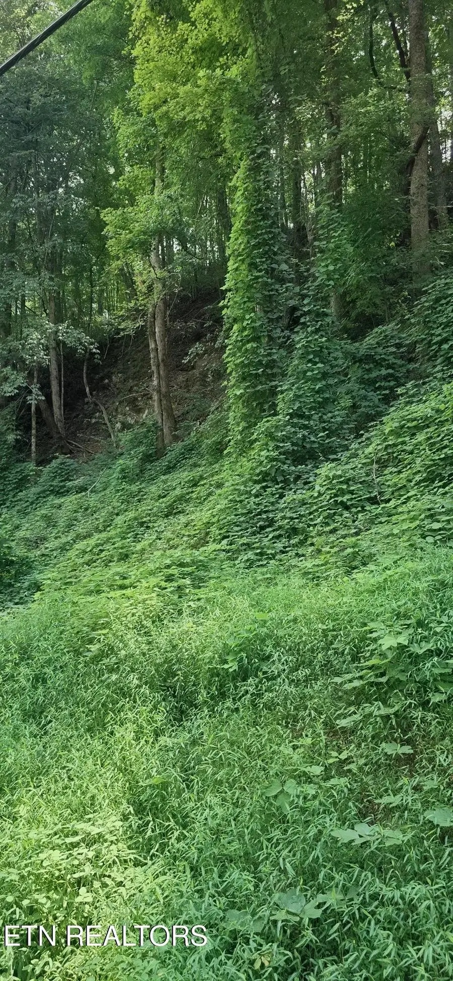 39 Black Walnut Flats Rd, Sevierville, TN 37862 - #3