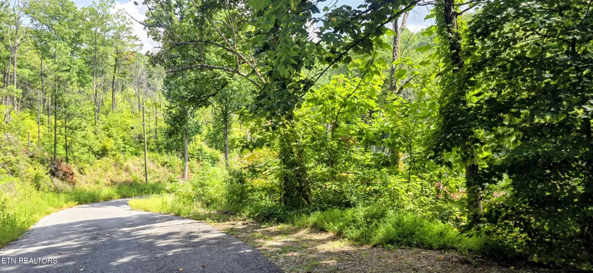 14 Sugar Maple Loop Rd, Sevierville, TN 37862 - #1