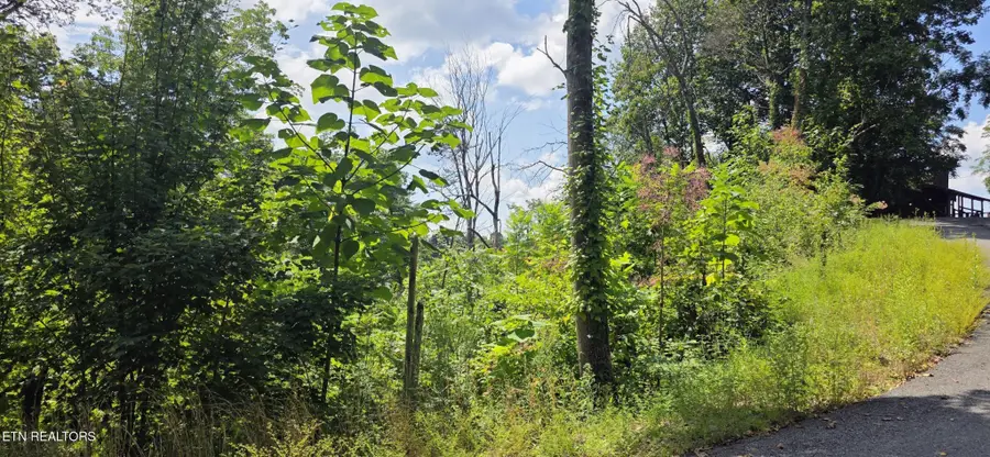 14 Sugar Maple Loop Rd, Sevierville, TN 37862 - #2