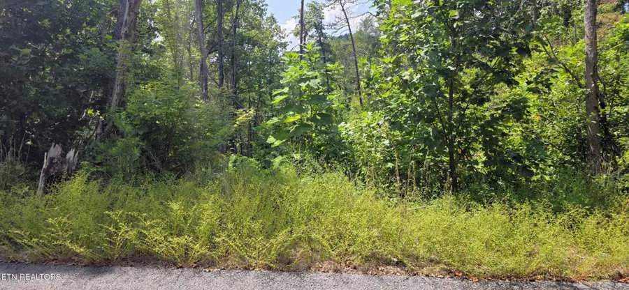 14 Sugar Maple Loop Rd, Sevierville, TN 37862 - #3