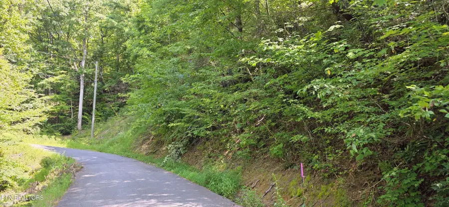 24 Sugar Maple Loop Rd, Sevierville, TN 37862 - #2