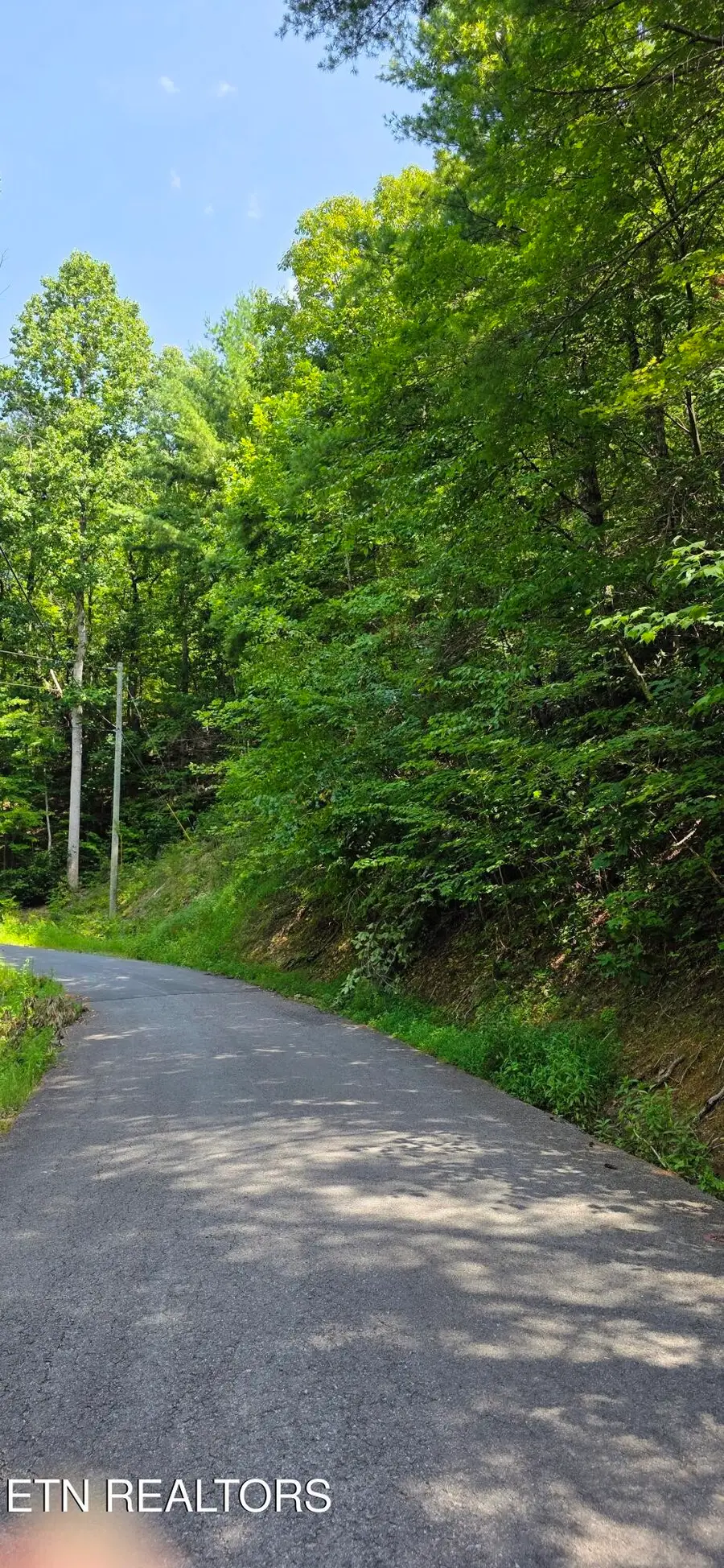 24 Sugar Maple Loop Rd, Sevierville, TN 37862 - #3
