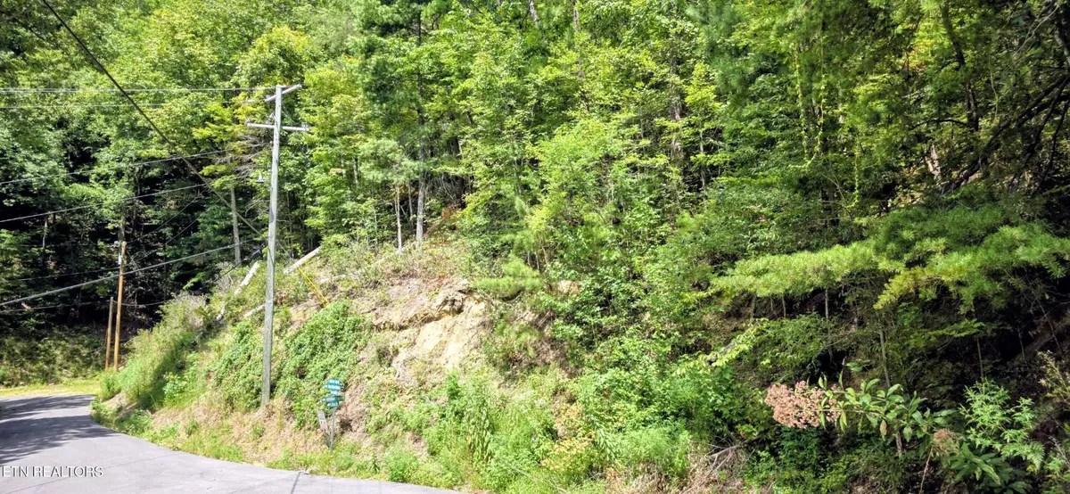 1 Black Walnut Flats Rd, Sevierville, TN 37862 - #1