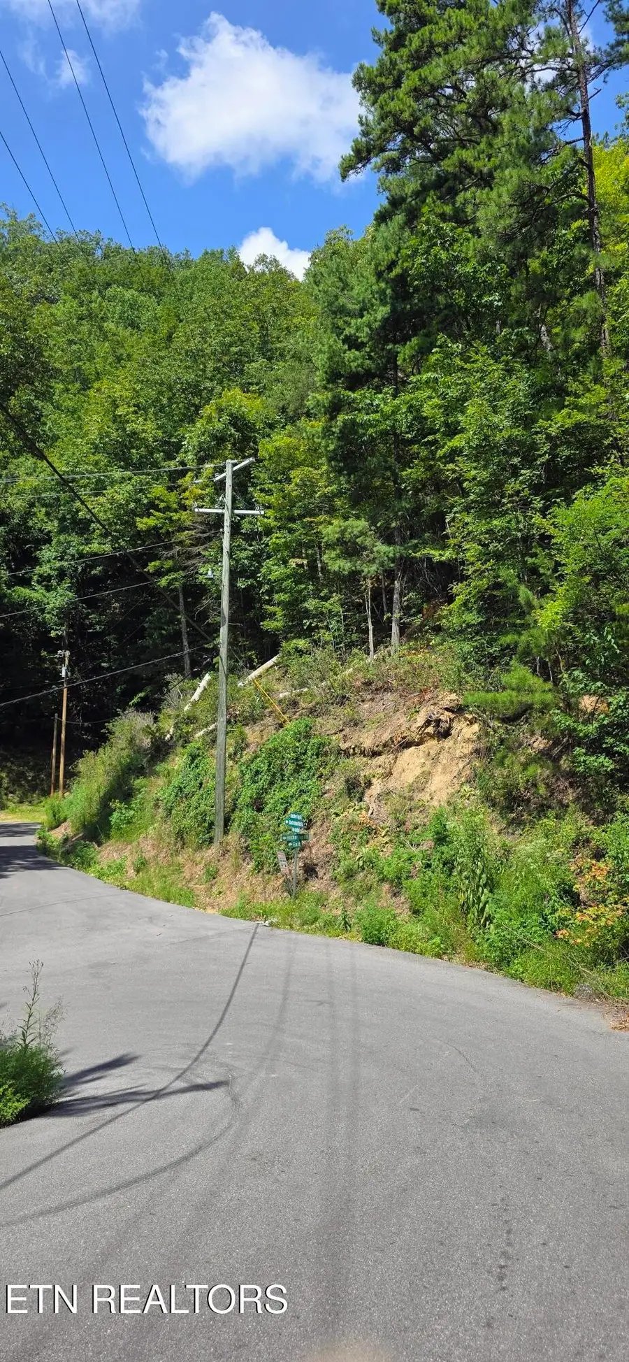 1 Black Walnut Flats Rd, Sevierville, TN 37862 - #2
