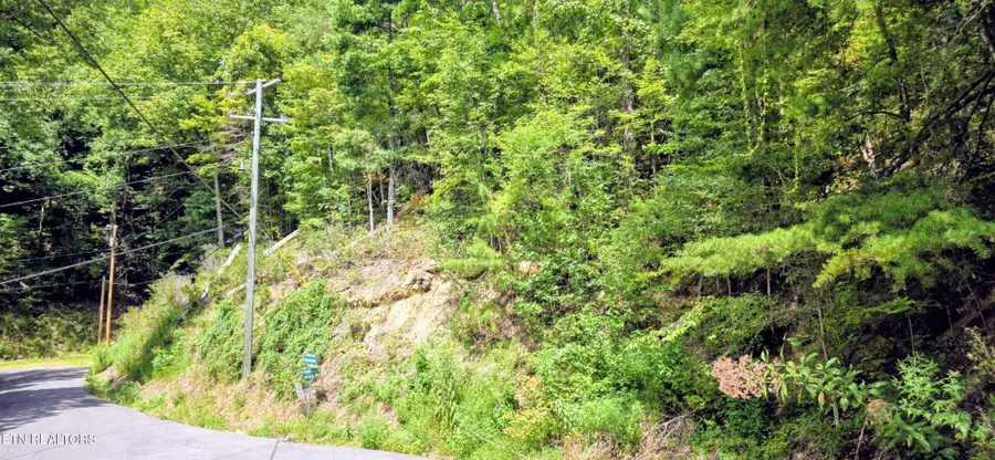 1 Black Walnut Flats Rd, Sevierville, TN 37862 - #3