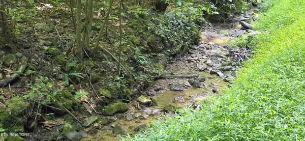 16 Black Walnut Flats Rd, Sevierville, TN 37862