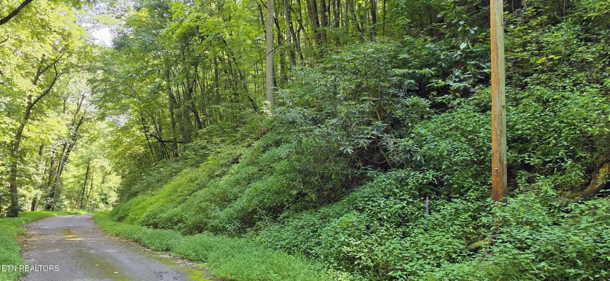 28 Black Walnut Flats Rd, Sevierville, TN 37862 - #1