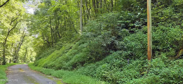 28 Black Walnut Flats Rd, Sevierville, TN 37862