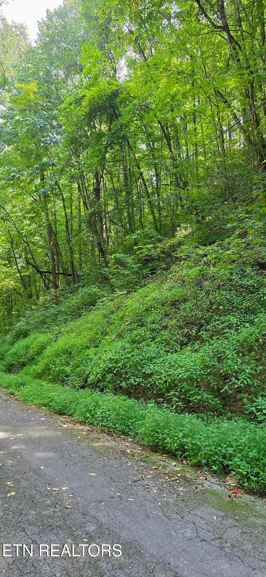 28 Black Walnut Flats Rd, Sevierville, TN 37862 - #3