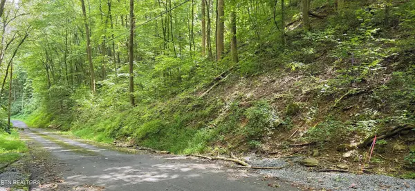 25 Black Walnut Flats Rd, Sevierville, TN 37862