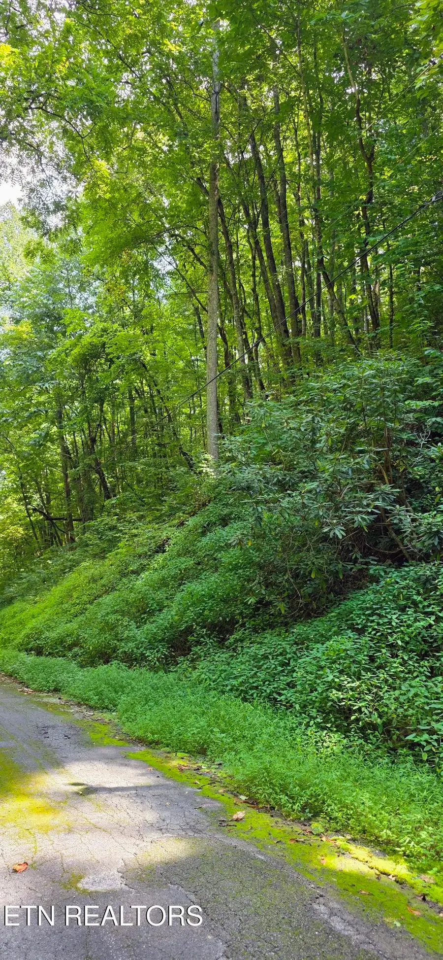 29 Black Walnut Flats Rd, Sevierville, TN 37862 - #2