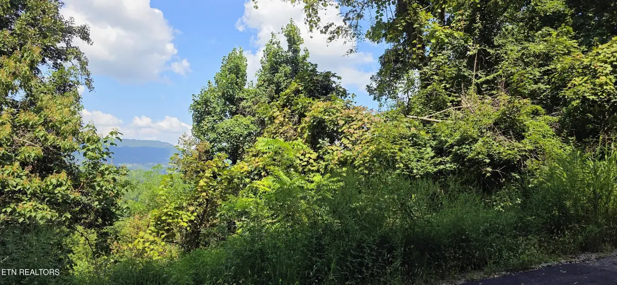 28 Sugar Maple Loop Rd, Sevierville, TN 37862 - #1
